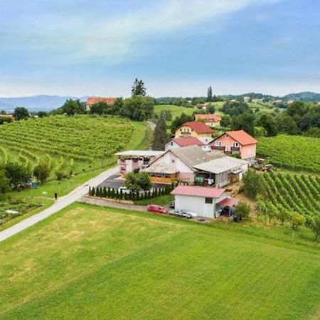 Guesthouse Prenocisca Sirec Птуй Екстериор снимка