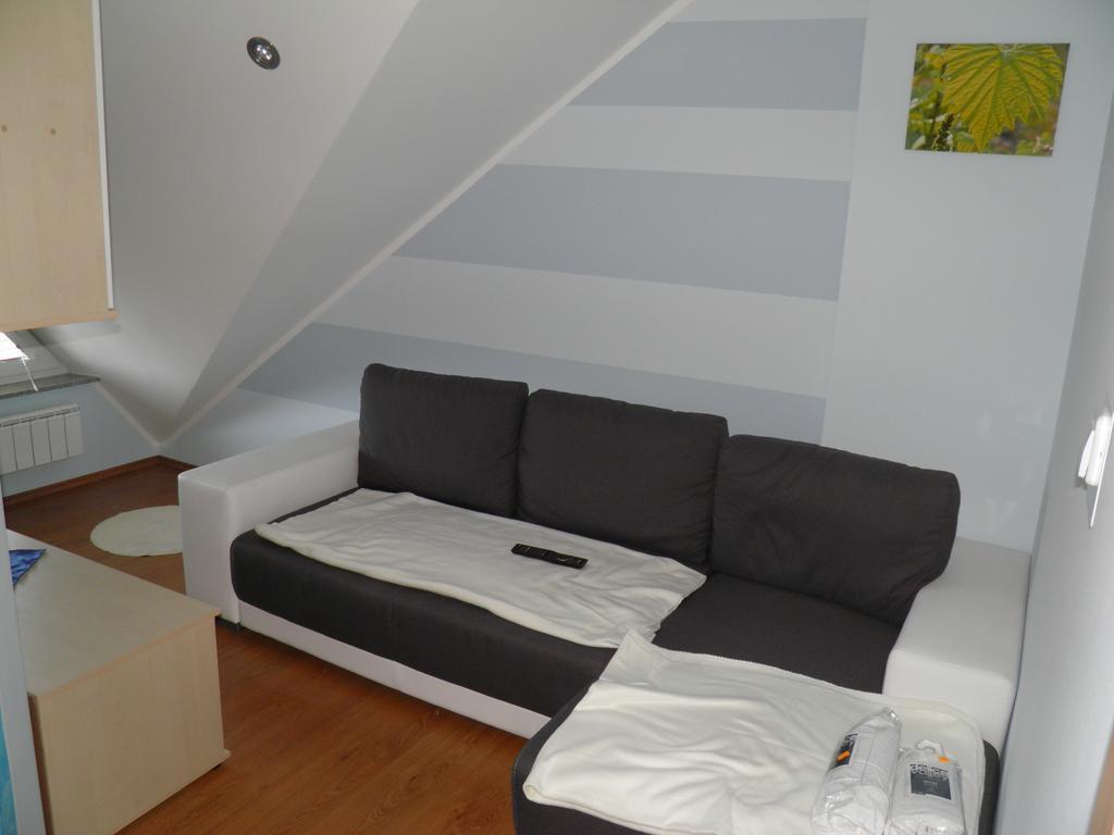Guesthouse Prenocisca Sirec Птуй Стая снимка