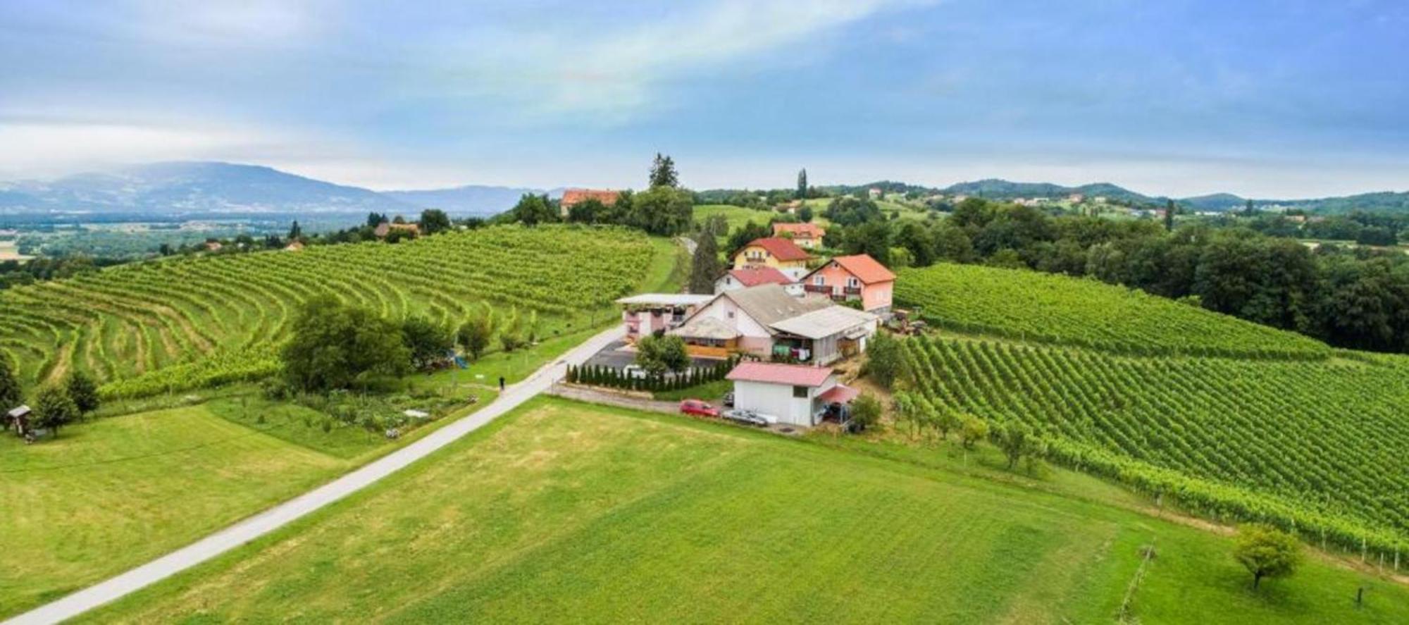 Guesthouse Prenocisca Sirec Птуй Екстериор снимка