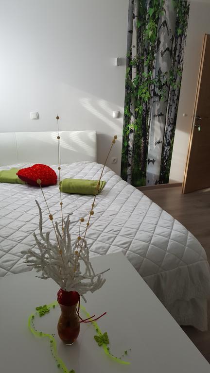 Guesthouse Prenocisca Sirec Птуй Екстериор снимка