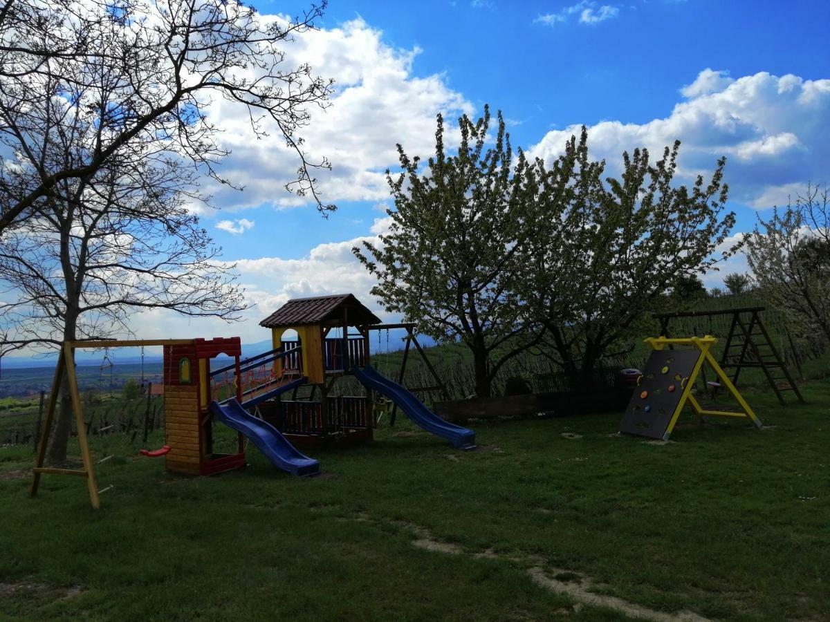 Guesthouse Prenocisca Sirec Птуй Екстериор снимка